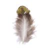 for Centerpieces Natural Peacock Feathers Colorful Feathers Feather Boas Flower Arrangement