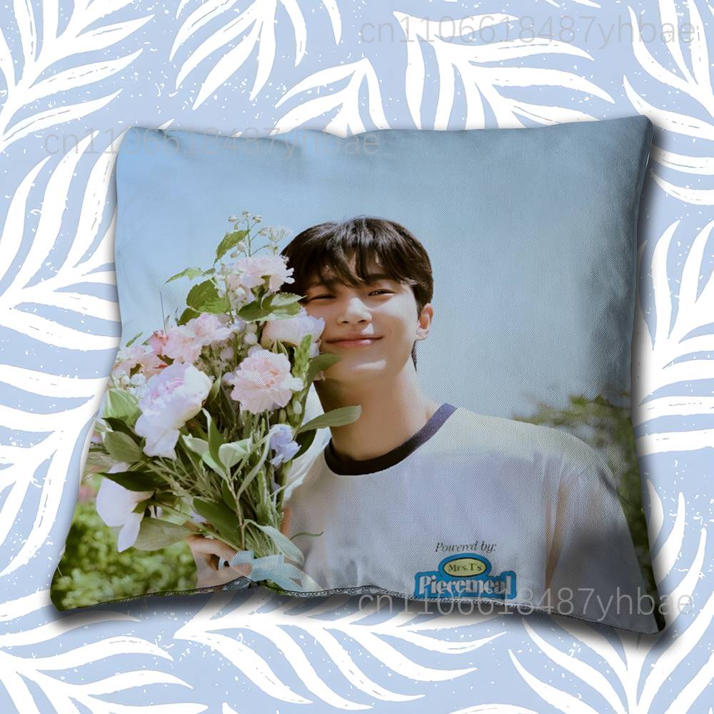 Korea BByeon Woo Seok Cushion Cover Pillow Cover Decor Pillowcase Printed Cushion Case For Couch