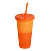 Color Changing Plastic Tumbler with Straw 24oz Reusable Cold Water Cup
