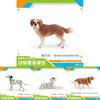 Pvc Animal Model Saint Bernard Toy Dog Collectible Decor For Kids And Collectors