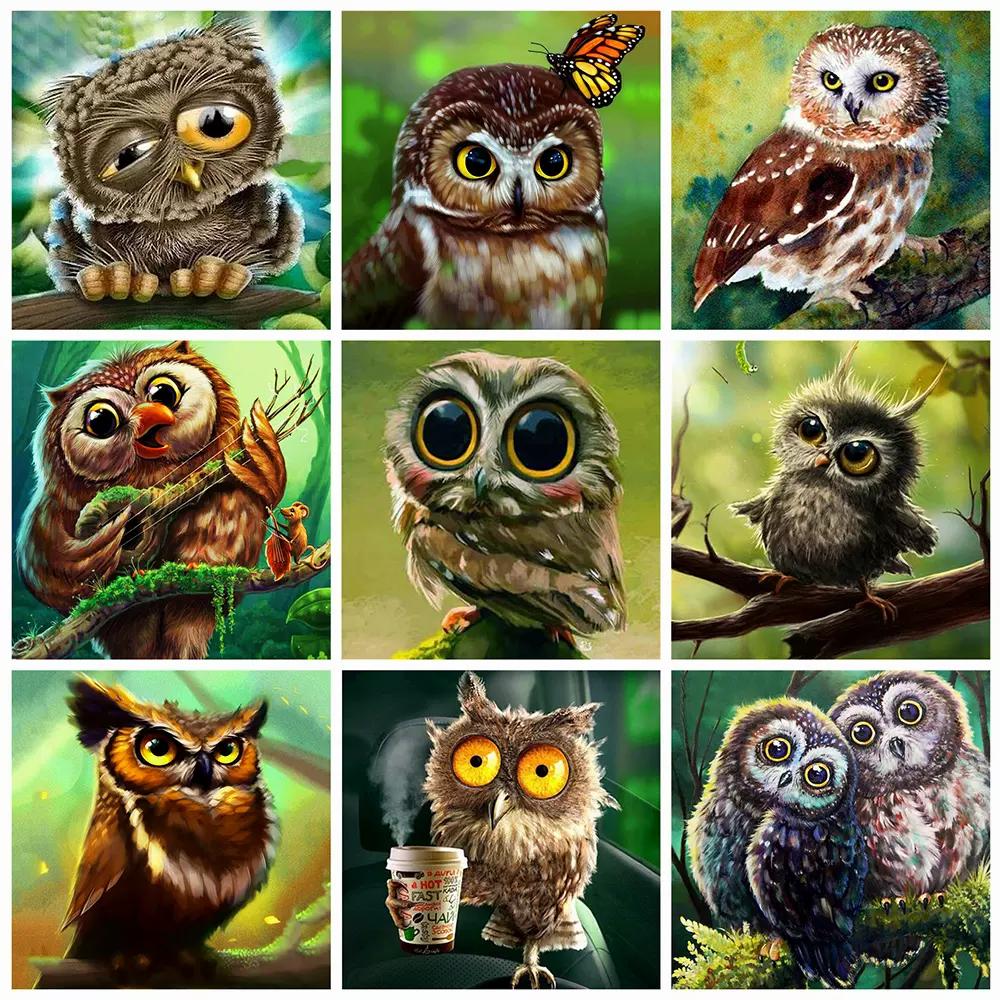 50X50CM Diy Алмазная картина Сова 5D Алмазная мозаика Распродажа Мультфильм Фотографии Стразами Вышивка Декор для дома