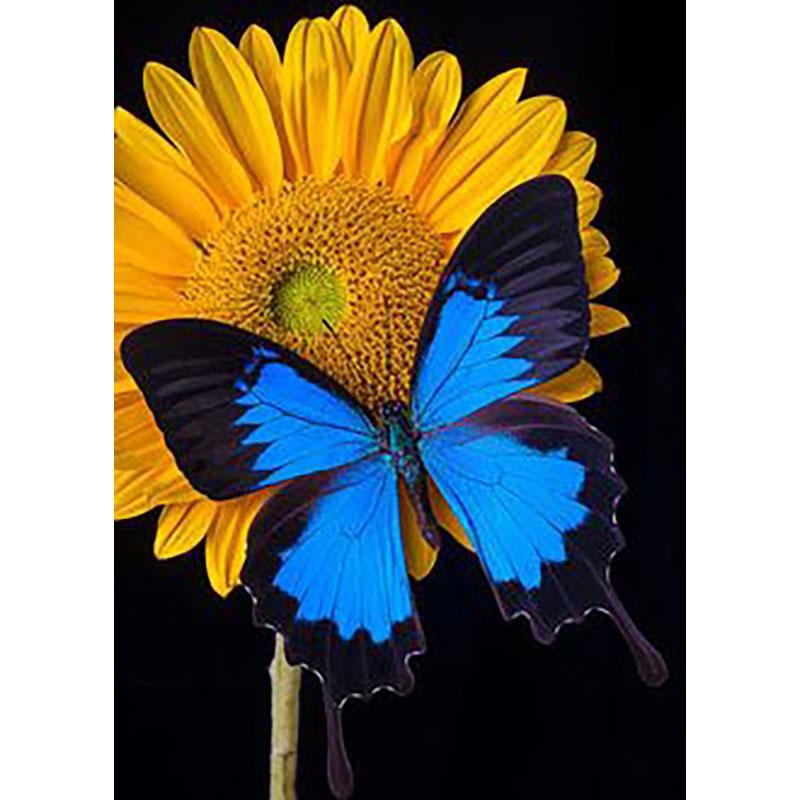 DIY Бабочка 5D алмазная живопись полная круглая дрель животное Алмазная вышивка наборы крестиков мозаика подарок настенное искусство домашний декор