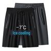 Men’s Summer Quick-Dry Ice Silk Sports Shorts - Breathable, High Elastic, Air-Conditioned Thin Solid Color.