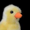 Cute Yellow Chicken Plush Doll Simulation Yellow Chicken Plush Toy Farm Animals Plush Toys