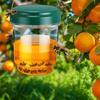 Горячие многоразовые ловушки для ос Прозрачные Удобные Подвесные Убийцы ос Подвесные ловушки для пчел Патио Сад Дом