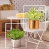 1:12 Dollhouse Miniature Mini Potted Plant Dollhouse  Fairy Garden Miniature Flower Plant Diy Dollhouse Accessories