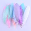 50Pcs Shellfish Feather Goose Feather Diy Handmade Jewelry Accessories Handicrafts Cat Toys Decorative Feathers
