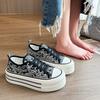 Модные граффити парусиновые туфли женские 2024 летние новые корейские версии толстая подошва увеличенная дышащая платформа женские вулканизированные туфли