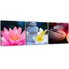 Set of Three Pictures Canvas Print Flower Zen Stone