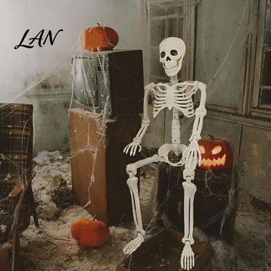 Flexible Skeleton for Film Props Halloween Decoration, 3Ft Life Size Full Body Human Bone, Realistic Posable Decor Holiday Party with Movable