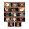 TV Anime and Merchant Meets the Wise Trading Holo Stills Bromide Box "Spice Wolf Wolf" 14-Piece