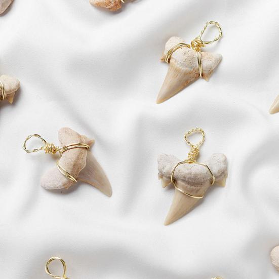 Привлекательное ожерелье Тонкая работа Сплав Подвеска в форме зуба акулы Ожерелье для повседневной носки