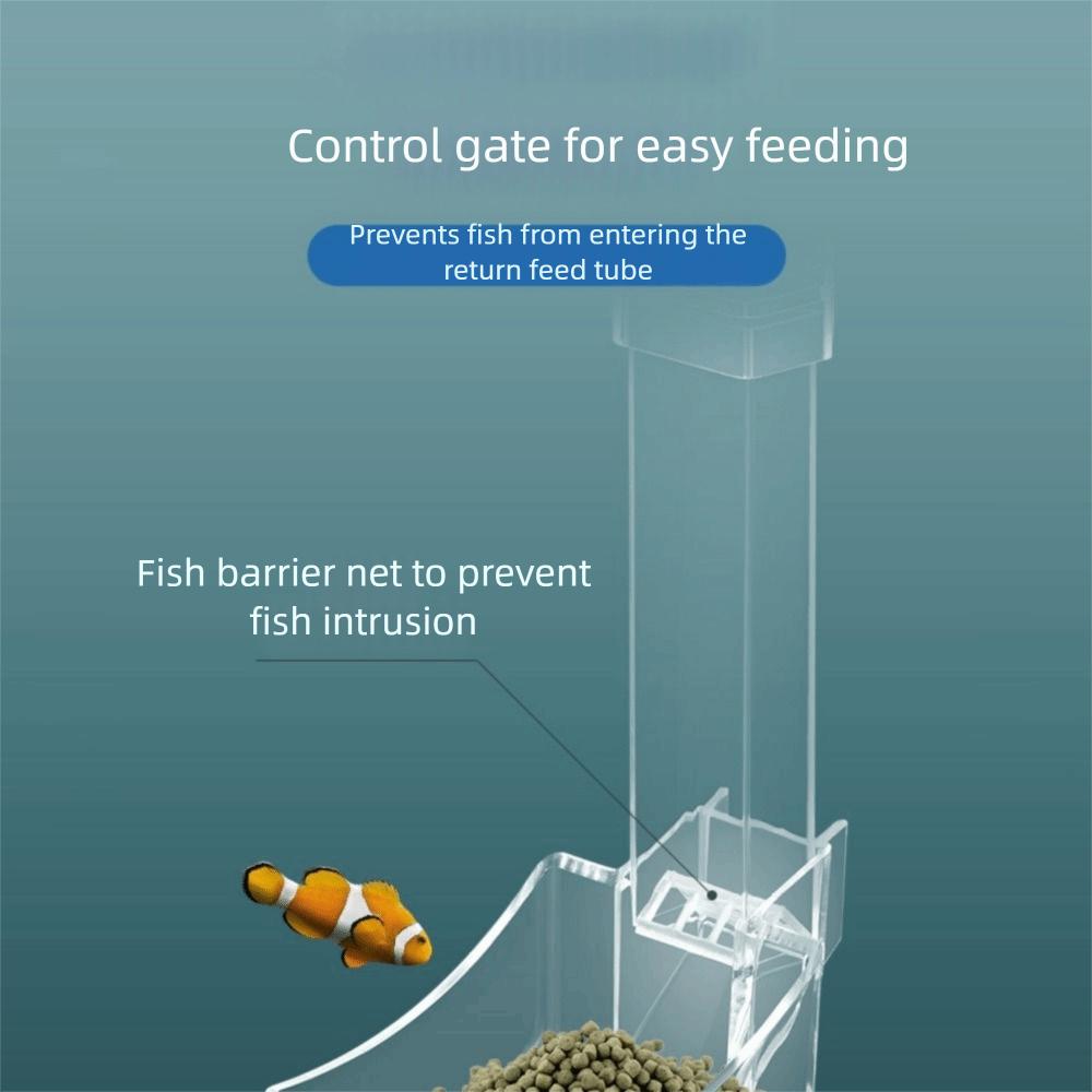 Wall-mounted Fish Tank Feeding Tube Acrylic Fish Feeding Basin Food Dispensing