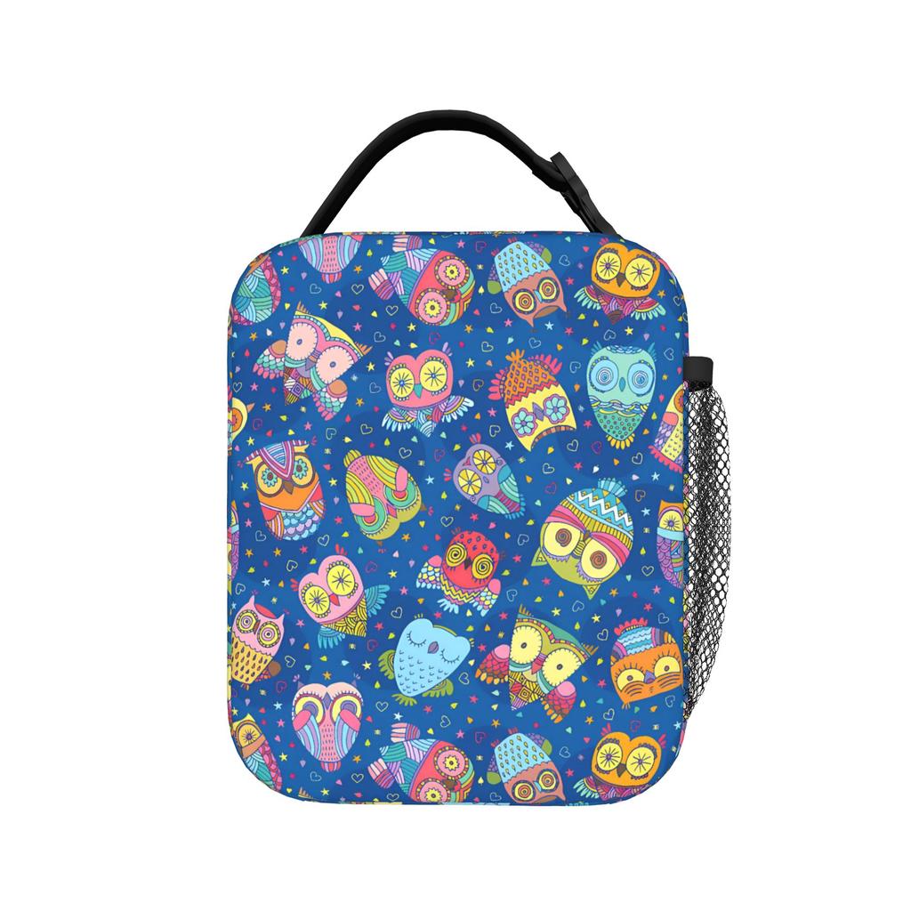 Blue Winter Owl Lunch Bag Animal Print Casual Lunch Box Travel Portable Zipper Thermal Tote Handbags For Child Print Cooler Bag