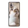 Чехол для телефона для Xiaomi Redmi Note 14 13 12 5G 9S 9 10 11 Pro Plus 4G 9T 14C 13C 12C 10C 9C 9A Мягкий чехол Милые Белые Крольчата