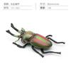 Simulation Of 16 Insects, Animal Models, Butterflies, Beetles, Spiders, Ants, Dragonflies, Cockroaches, Oxen Shields, Bugs, Static Ornaments