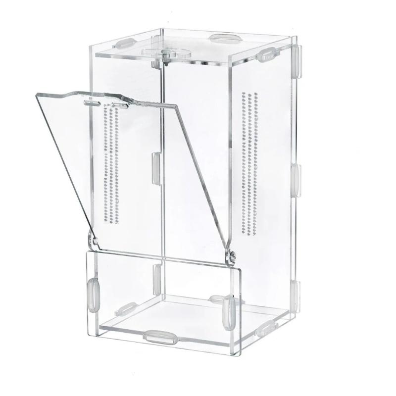 Acrylic Jumping Spider Enclosure Escape Proof Buckle Lock Ventilated Transparent Reptile Tank