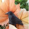 Black Bird Crow Figurine Statue Sculpture Art Miniature Decor Small Animal