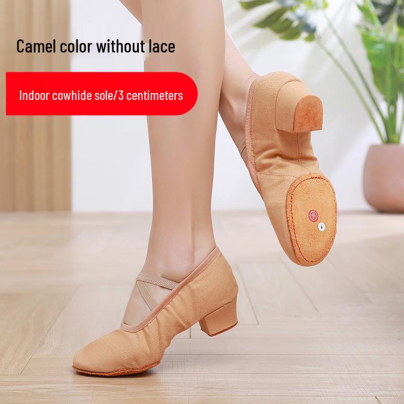 Женские танцевальные туфли без шнурков на каблуке - Мягкая подошва для балета, йоги, танца живота, для взрослых, для преподавателей и практики.