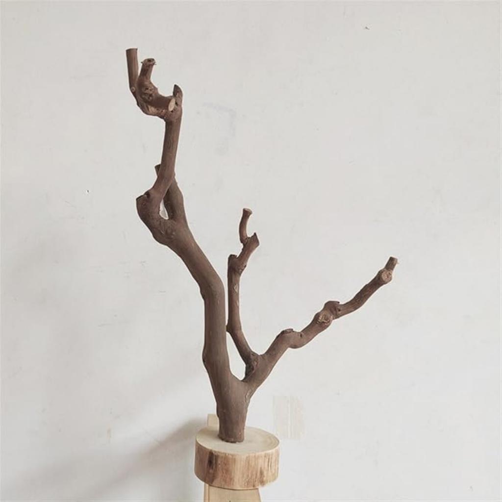 Log Tree Branch with Bottom Bracket Decoration Bookshelf Living Room Coffee Table Decoration Handmade Solid Wood Bracket(20cm)