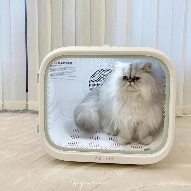 Mini Cat Dryer Machine Household Pet Grooming Drying Cabinet Profession Blower Box for Cat Animal Bathing Dry Room Products