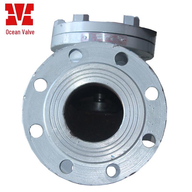 Carbon Steel Flanged Lift Check Valve
