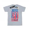 Womens/Ladies Justice League Movie Team Flag Cotton Boyfriend T-Shirt