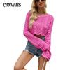 Autumn and Winter Women's Sweaters Fashion Solid Color Hollow Wave Pattern Short Section Pullover Knit Sweater