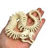 3D Printed Skeleton Snake Figurine Movable Joints Skeleton Snake Figure Articulated Animal Model Toy Home Office Bookshelf Desktop Decoration Ornament