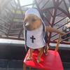 Nun Costume for Cat & Dog - Breathable Funny Pet Clothing, Small Medium Size Cosplay Photo Props Viral TikTok Instagram