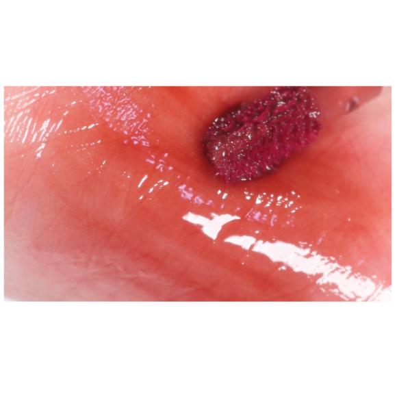 Dearmay La Piste Lip Tint 4.1g (7 Options)