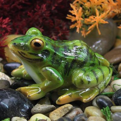 Лидер продаж, милые лягушки, мини-смолы, поделки, сказочные садовые миниатюры, сделай сам, террариум, суккуленты, миниатюры, украшение микропейзажа