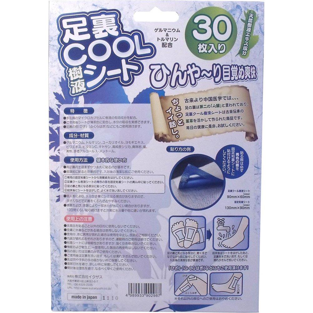 Hubpack Ixus Sole COOL Sap Sheet 30 шт. Белый