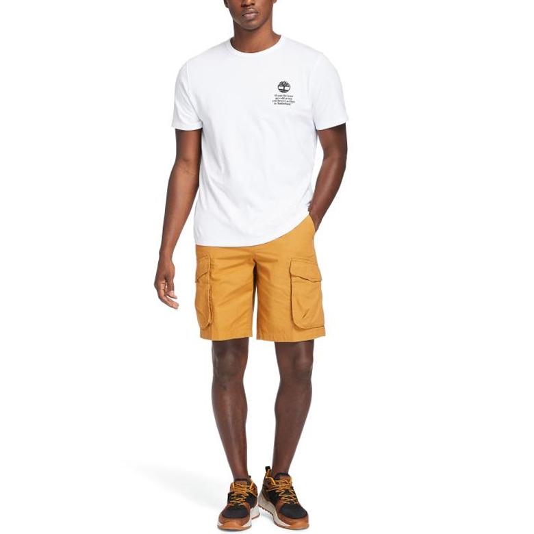 Timberland SS21 Повседневная спортивная футболка с круглым вырезом из хлопка с коротким рукавом для мужчин, белые A2534-100