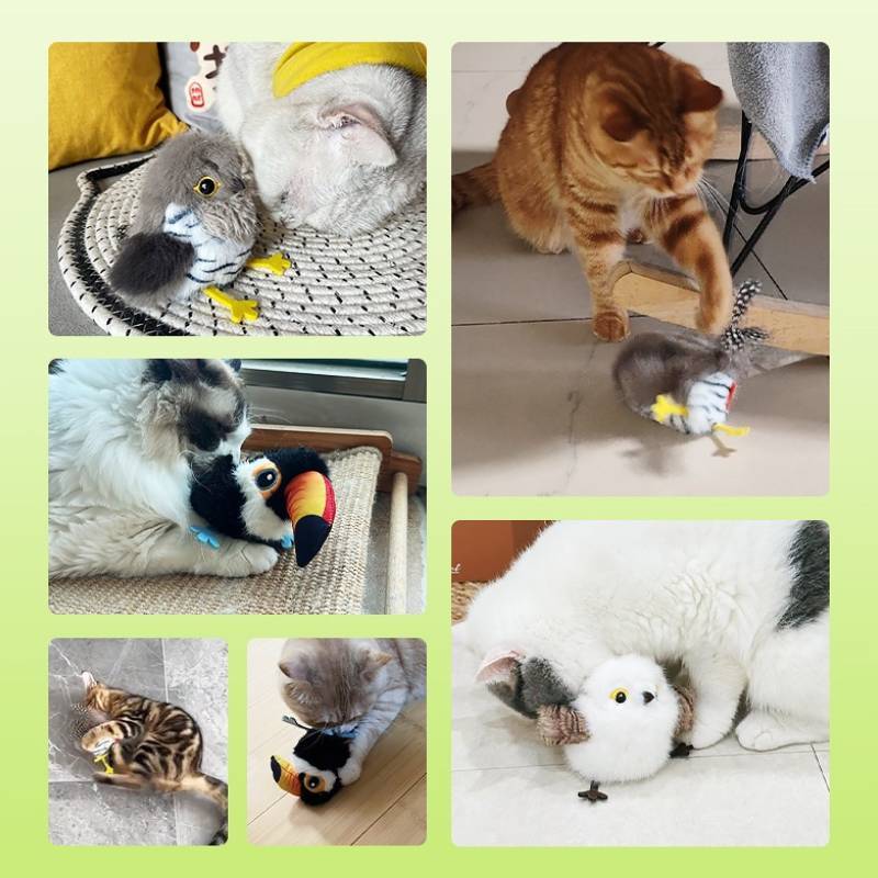 Plush Cat Toy With Bird Sounds For Multicat Homes And Calming Fun