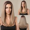 Блондинка Длинный Прямой Парик Фронта Шнурка Натуральные Волосы Регулируемые Парики Ежедневное Вечернее Использование Синтетические Волосы Жаростойкие