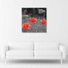 Canvas print, Field poppies flowers nature