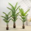 Popular Indoor Areca Palm Potted Plant - Large Green Decoration for Living Room