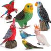 Parrot Model Figurine - Budgerigar, Macaw, Cockatoo Fun Decor