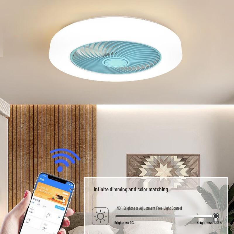 Modern Minimalist Inverter Ceiling Fan with LED Light