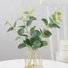 Simulation of A Single Fake Flower Leaves Eucalyptus Leaves Simulation of Green Plant Home Decoration with Camellia Props