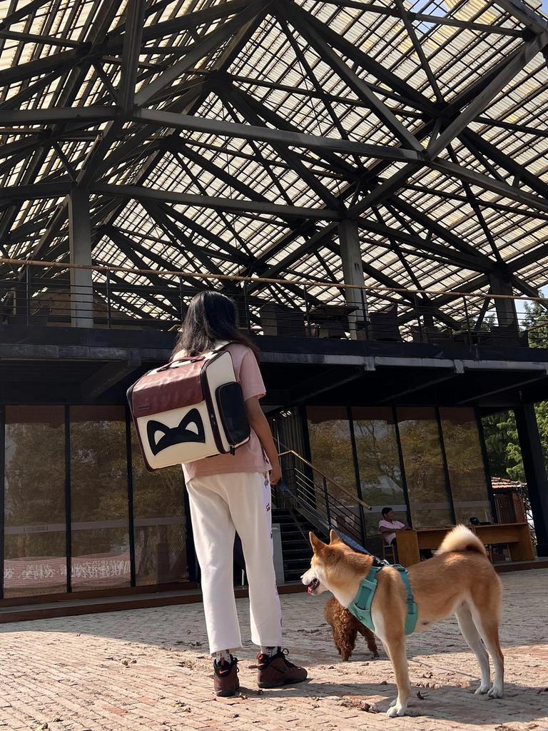 Рюкзак-переноска для собак и кошек, расширяемая сумка-переноска из искусственной кожи для путешествий с домашними животными, переноска для кошек и маленьких собак для дома и улицы