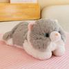 Cute Soft and Cute Fufu Cat Pillow Girlfriend Warm Companionship Gift Home Decoration Nap Pillow Event Gift