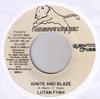 7inch Record LUTAN FYAH / SURN BOARD - Ignite And Blaze / I Don't Know Why NONE Newbrandmusic 2007 Jamaica Reggae, Ska & Dub Used
