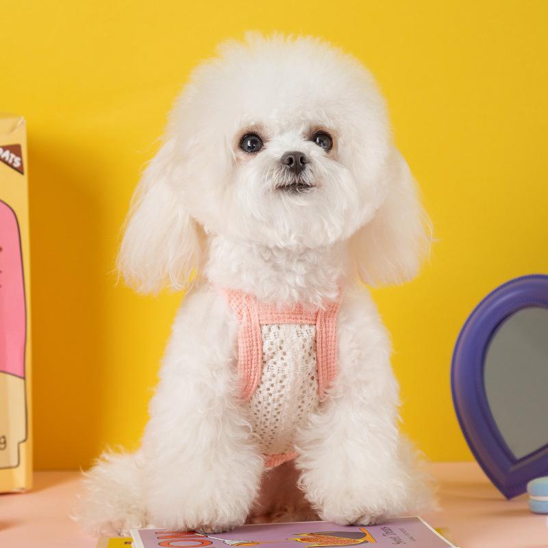 Summer Cute Love Bow Two-legged Dog Sling Small and Medium Dog Teddy Cat Than Bear Pet Dog Clothes