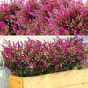 UV-Resistant Artificial Lavender Bouquets - Vibrant  Floral Arrangements for Outdoor Garden, Porch, Window Sill, Home Decor