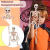 40СМ Хэллоуин Гуманоидный Скелет Скелет Скелет Подвижные Суставы Креативные Украшения