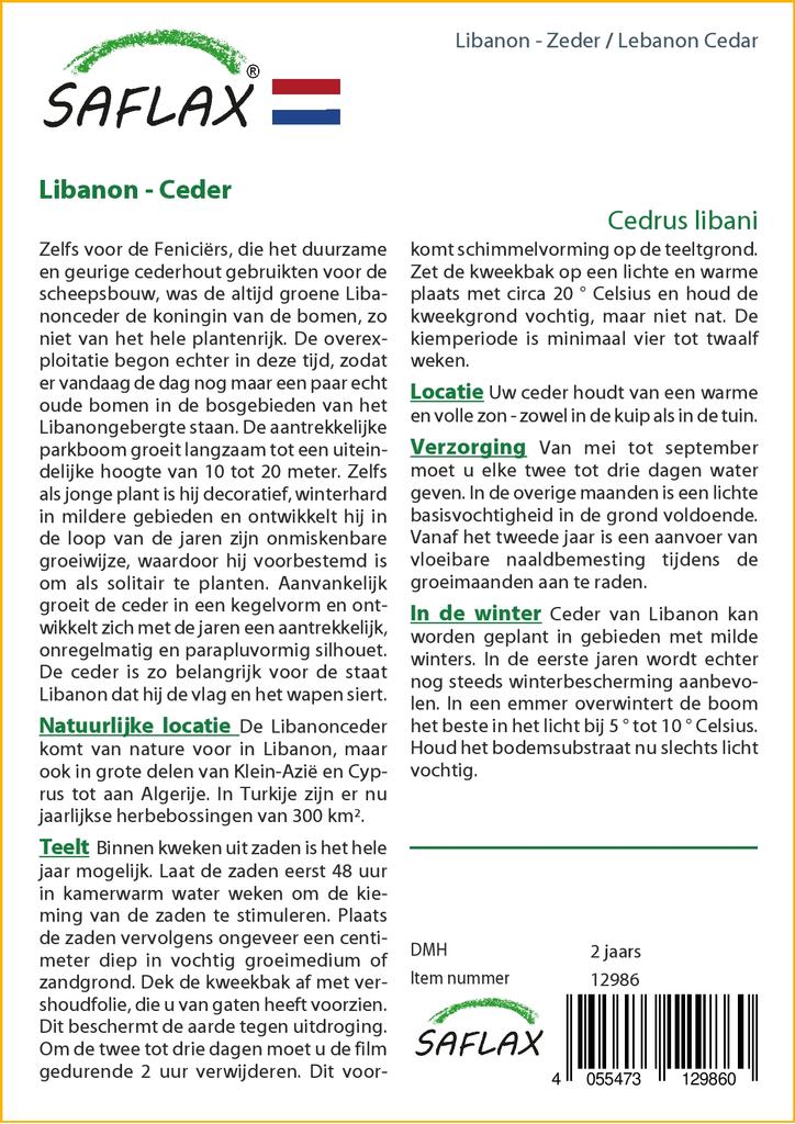 SAFLAX Ливанский кедр - 20 семян - Cedrus libani