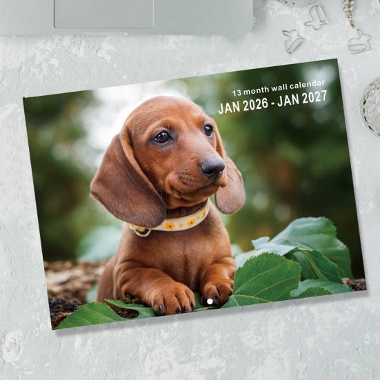 2026 Смешной настенный календарь с собаками 12 месяцев Милый декор для любителей животных Спиральный переплет Плотная бумага Декоративный подарок для владельцев домашних животных Офисный юмор Ежемесячный макет