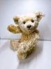 [USED] Teddy Bear Steiff Gallery Shop Teddy Bear 2000 Limited Edition of 2000